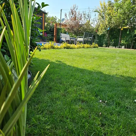 Arkaya Tinyhouse Fethiye